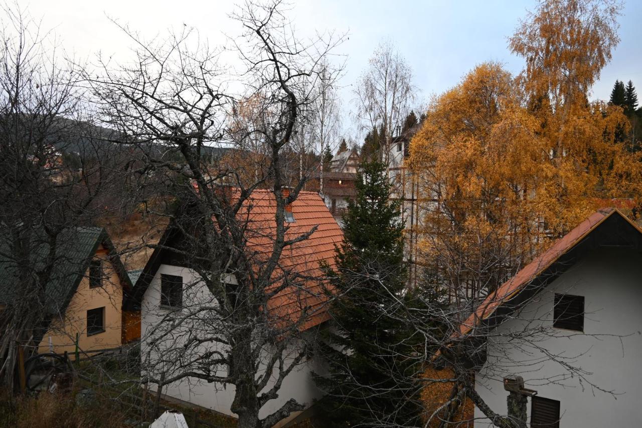 Apartman Vukašin Kopaonik Bagian luar foto